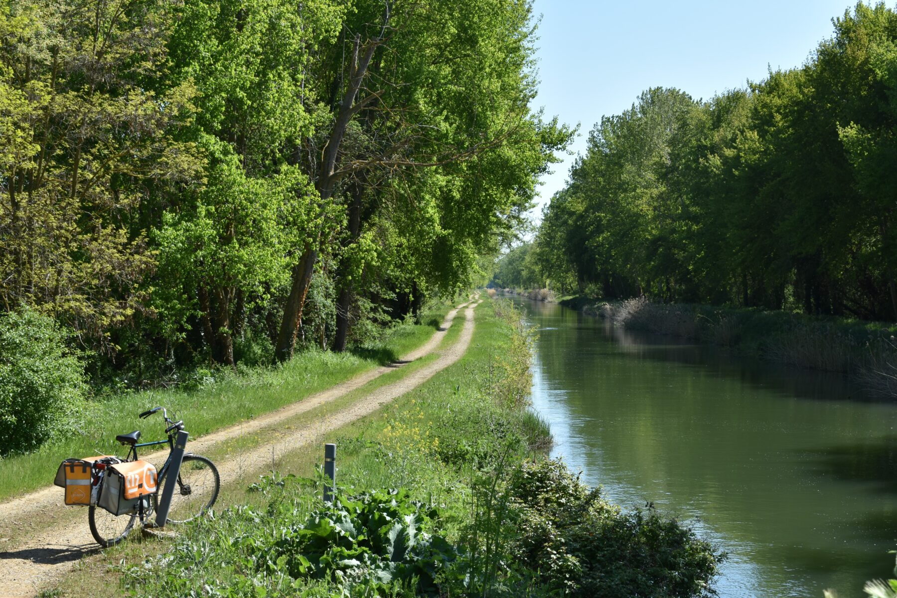 <h2>Ramal Canal de Castilla en Calahorra de Ribas</h2><br>Beatriz Román<br><span class='hastagdes'>diputaciondepalencia</span>